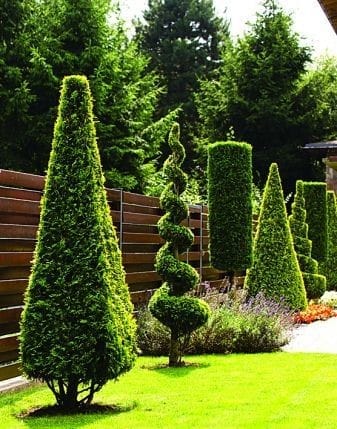 Servicios de jardinería JR