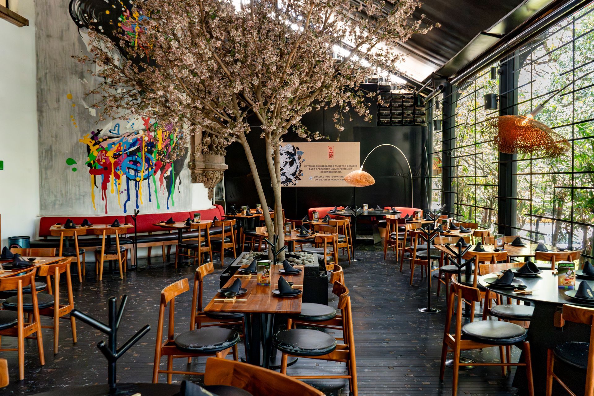 Interior de cafetería moderna con mesas y sillas de madera, plantas colgantes y grandes ventanales a la derecha.