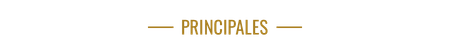 Línea dorada y texto que dice “PRINCIPALES” sobre un fondo blanco.