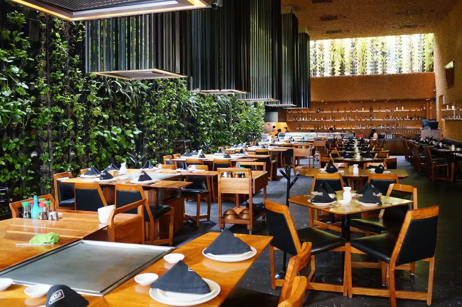 Interior de restaurante moderno con mesas de madera, sillas negras y plantas colgantes con iluminación cálida.