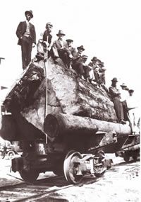 People sit atop a massive chunk of rock on a train car. Outdoor setting with tracks and vehicles.
