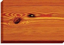 Close-up of a stained wood plank with visible grain, a knot, and a dark spot.