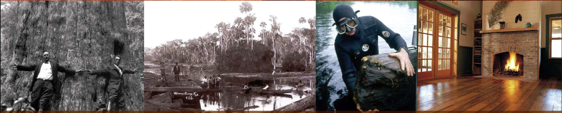A multi-panel image depicting: rough terrain, a swamp, a diver, and a room with a fireplace and hardwood floors.