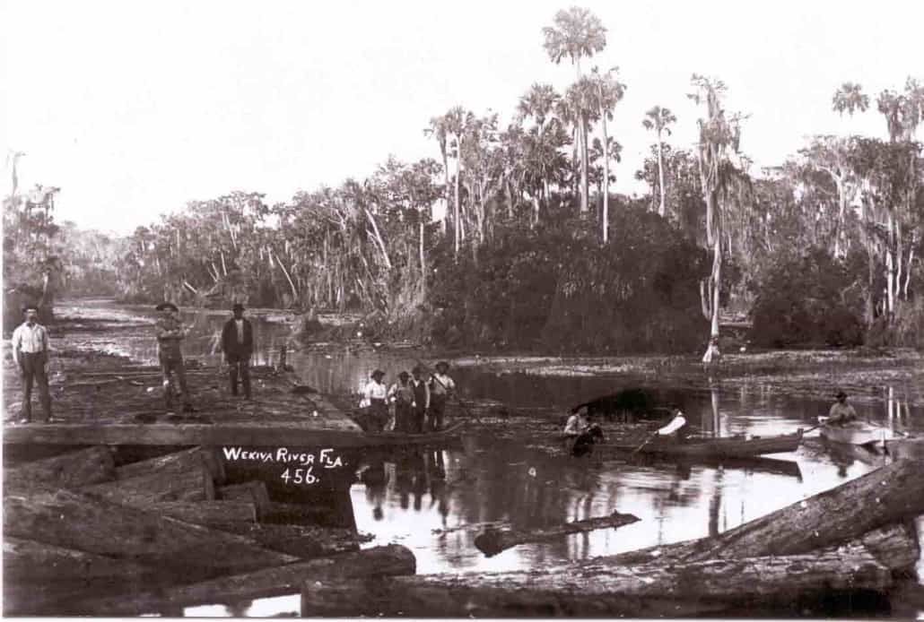 Men standing on logs in a river, surrounded by trees.