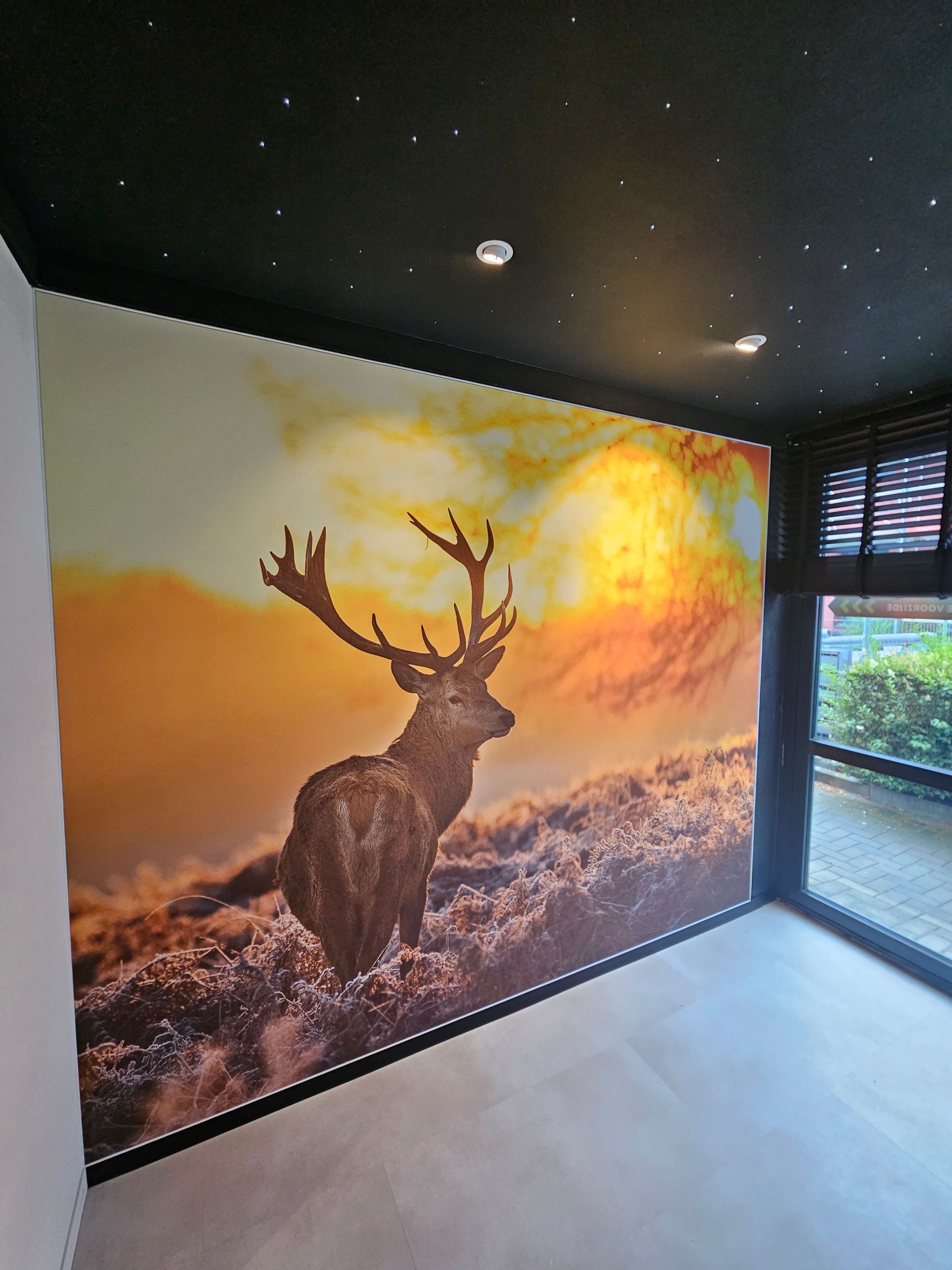 wandbespanning in full colour