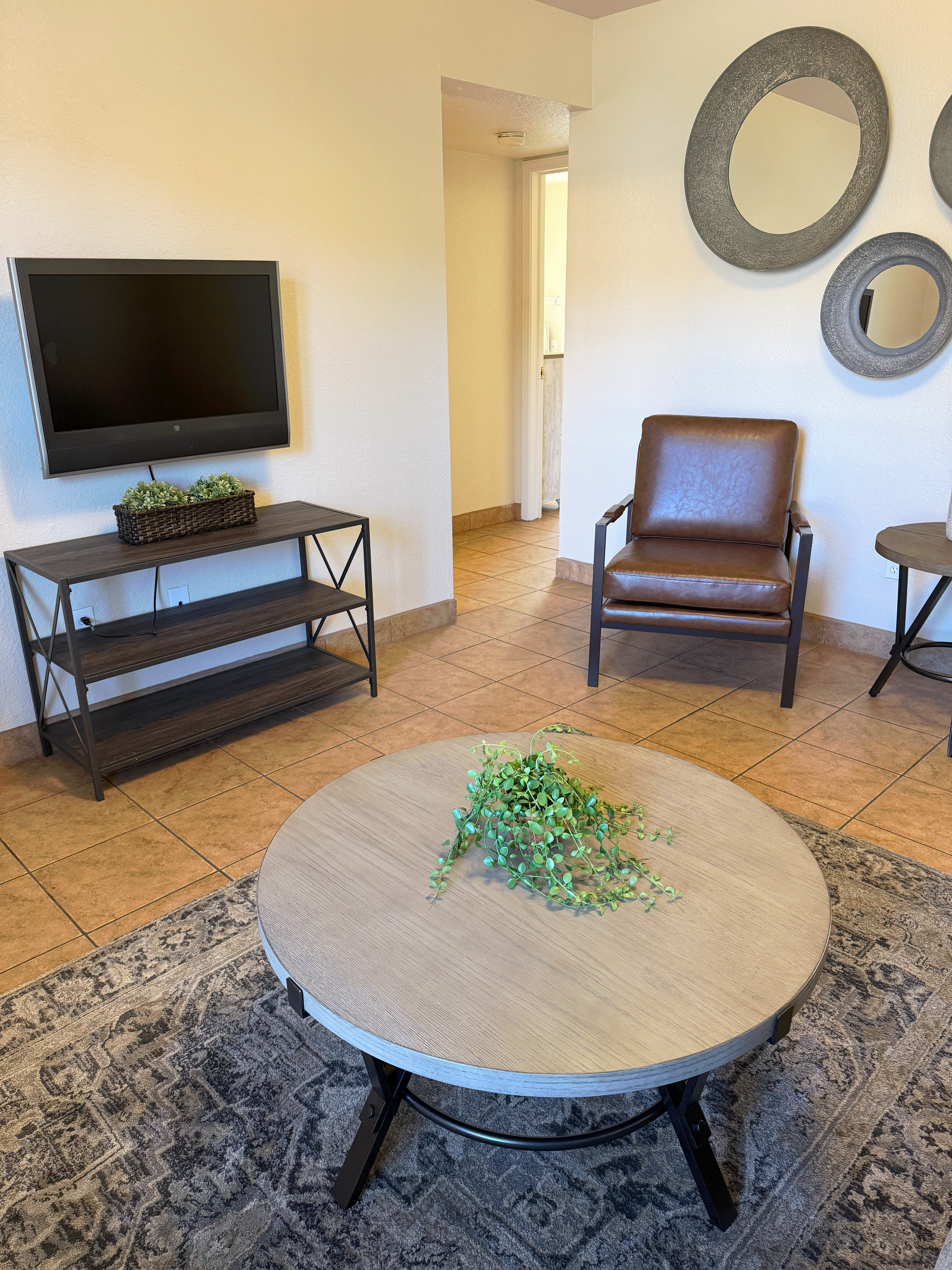 A brown leather armchair, a circular coffee table with a small plant, a TV stand, and three round mirrors on a white wall.