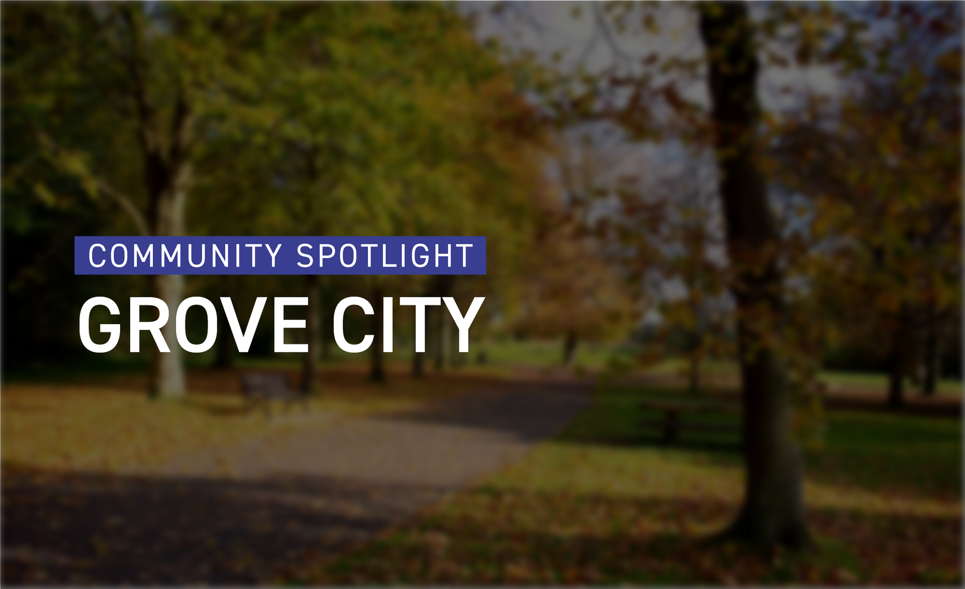Grove City Community spotlight