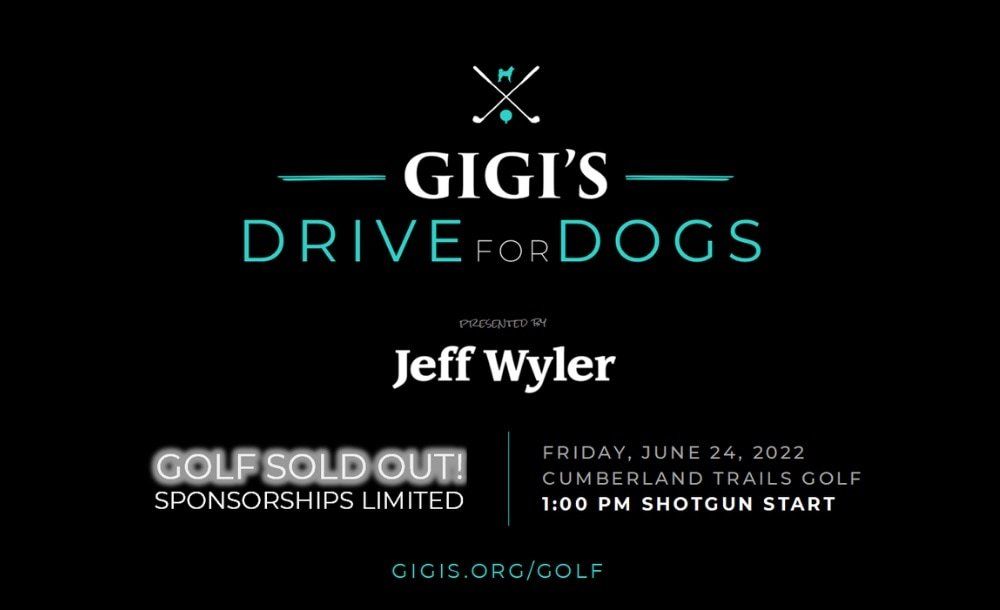 Gigi's Drive for Dogs event flyer.