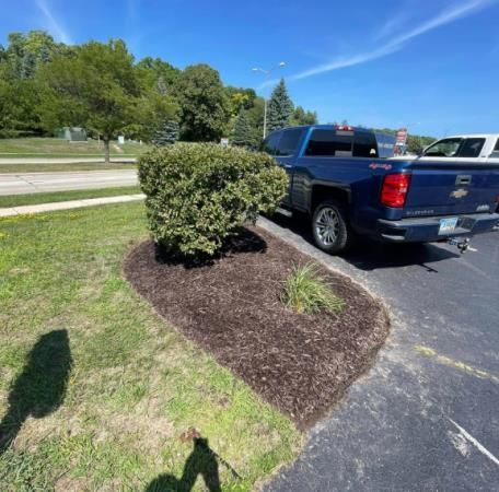 A blue truck is parked in a parking lot next to a bush.