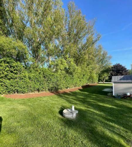 A lawn mower is sitting in the middle of a lush green yard.