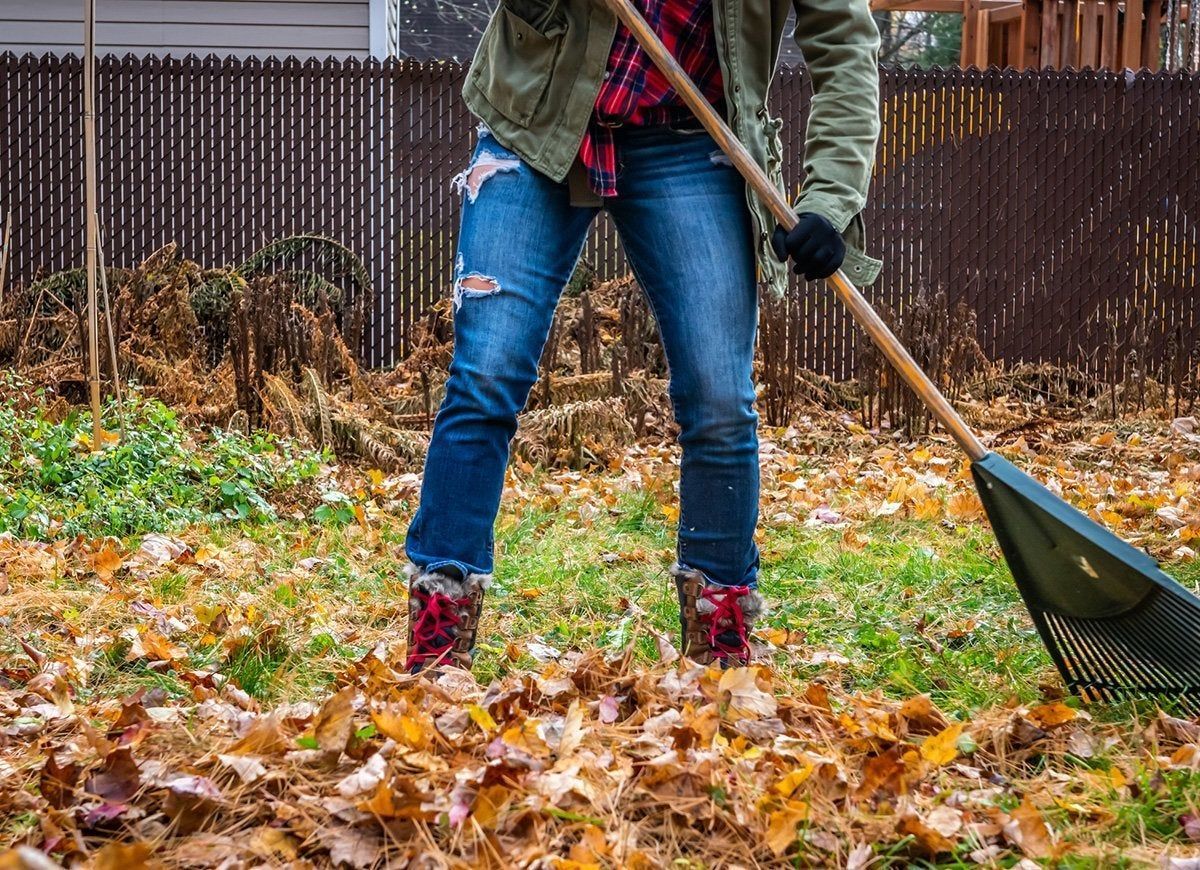 A woman is raking leaves in a yard with a rake.