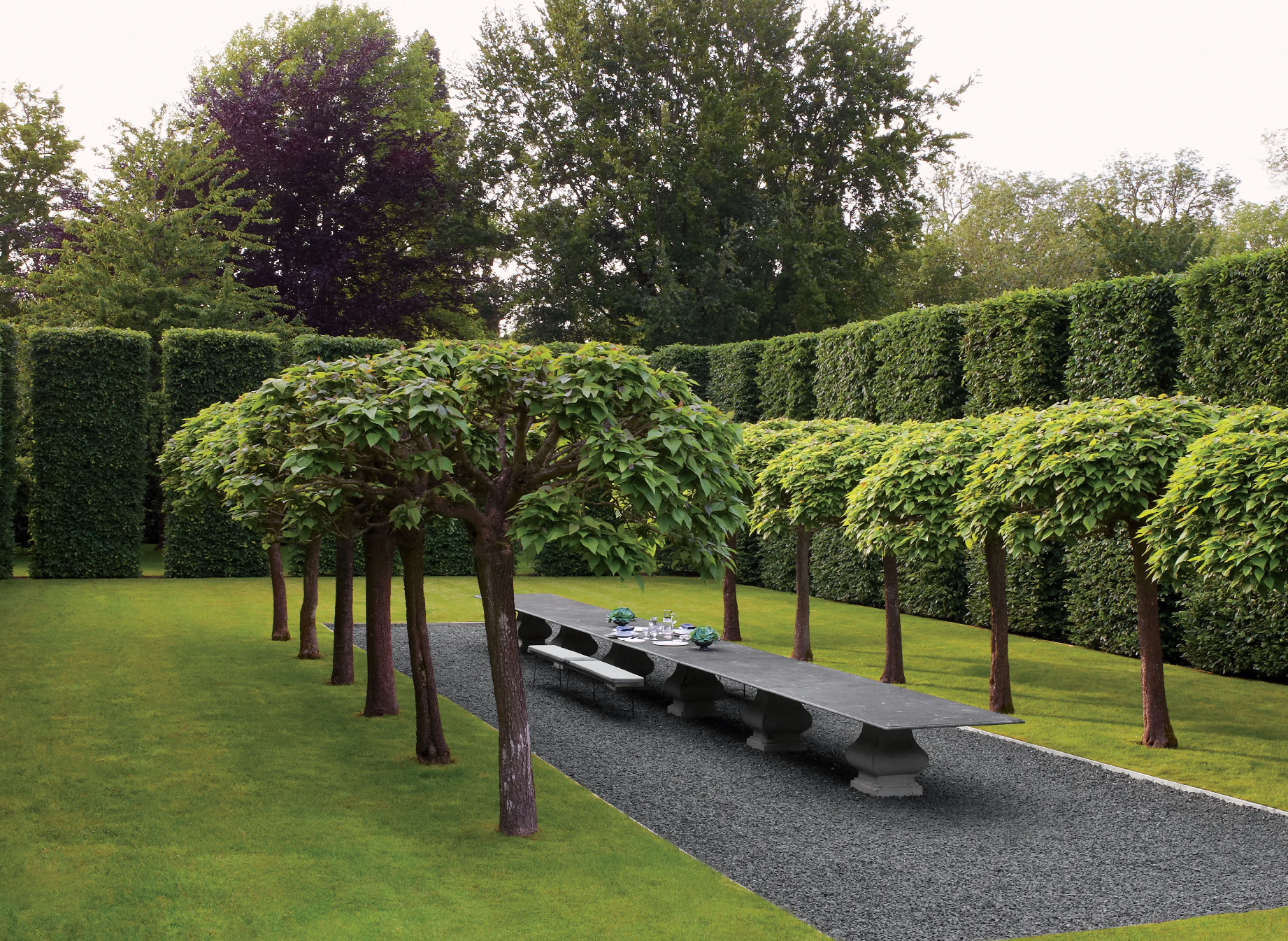 A row of trees in a garden with a table in the middle