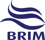 BRIM - logo