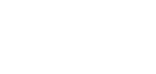 PAA Logo