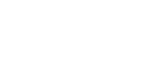 Brubacher Powerline LOGO
