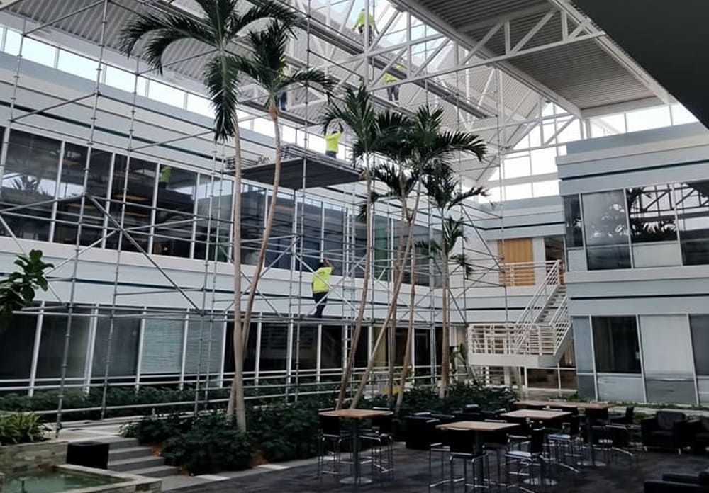 commercial window tinting near me