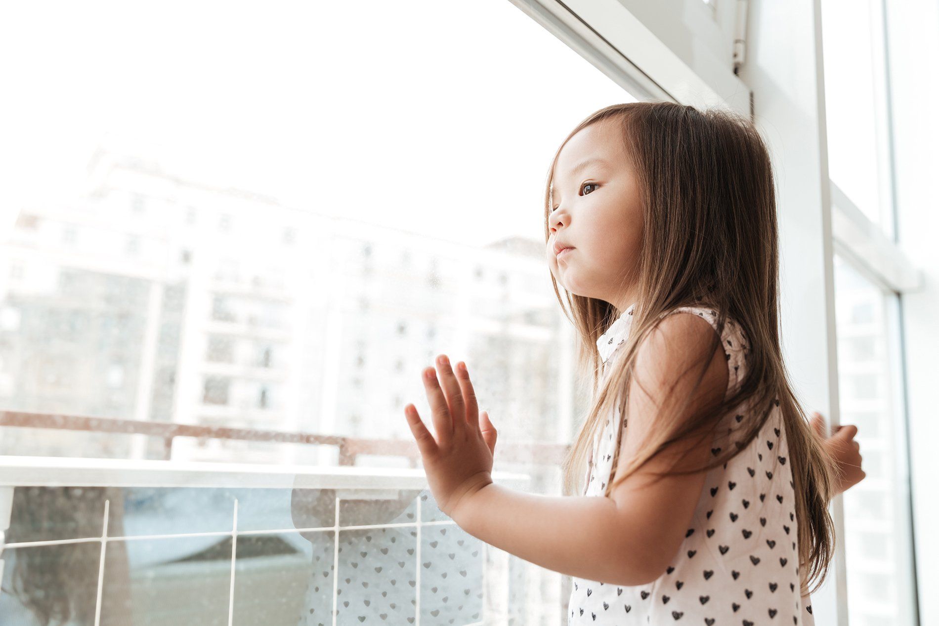 Home Window Safety and Security Tampa