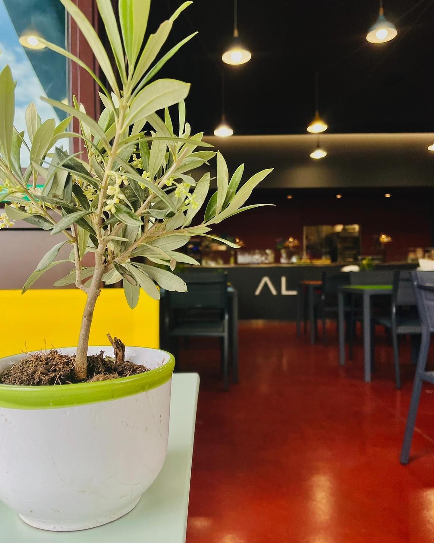 Una piccola pianta in vaso è davanti a un cartello che dice al