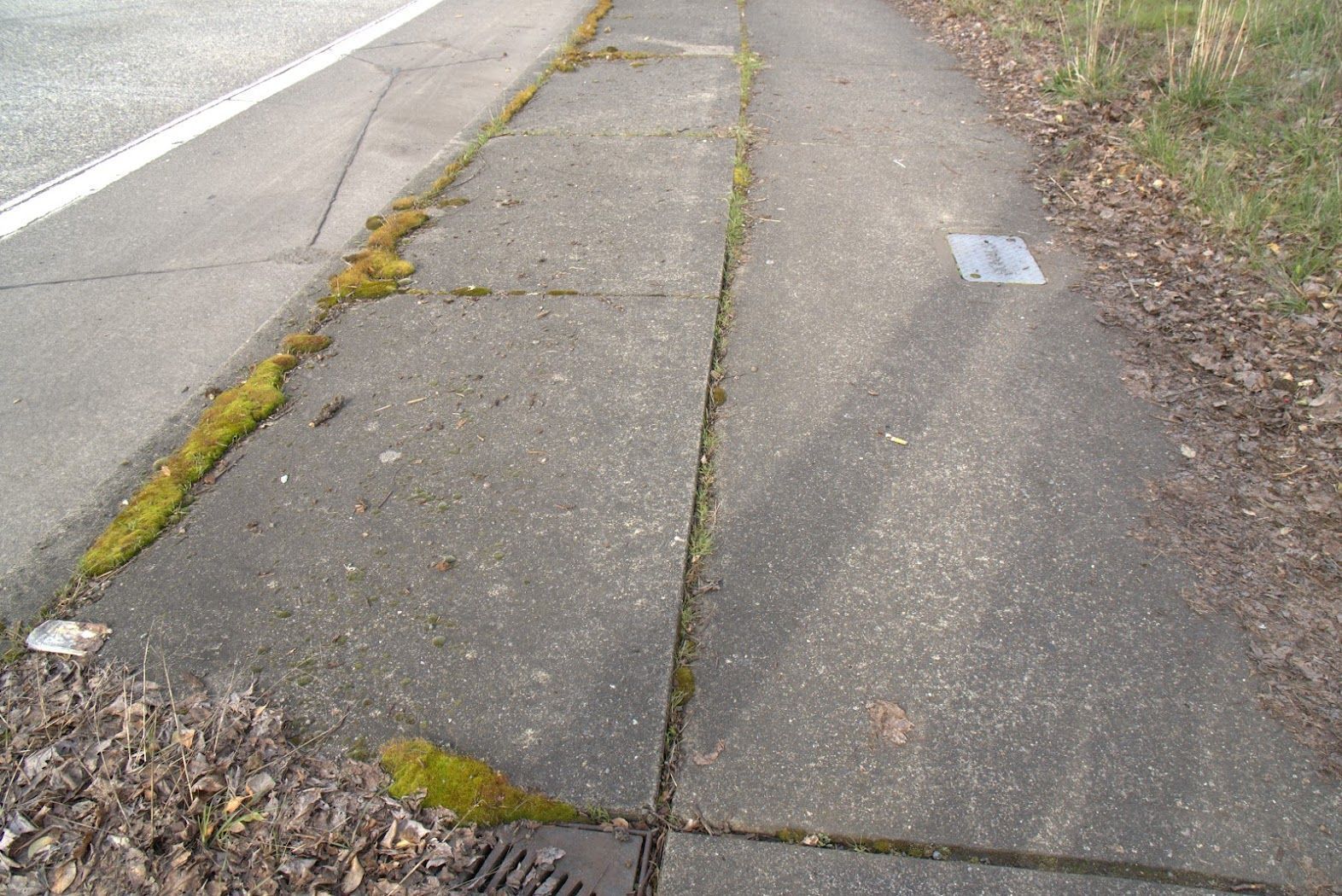 A sidewalk next to a road with moss growing on it