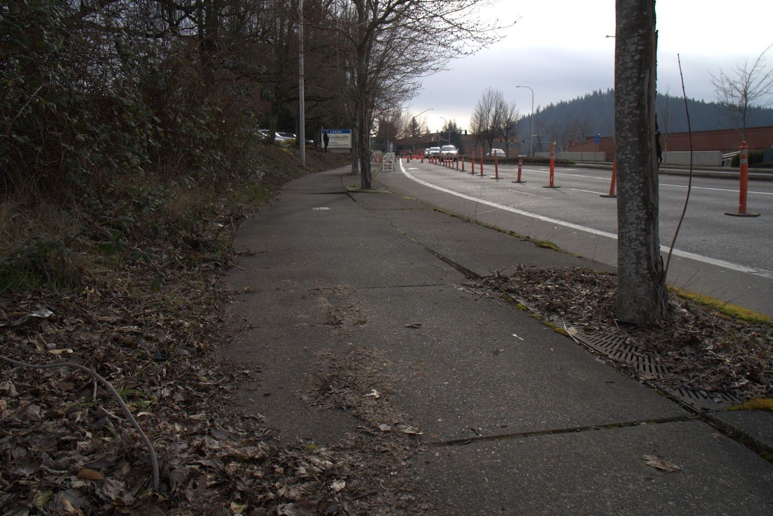 A sidewalk next to a road with trees on the side of it