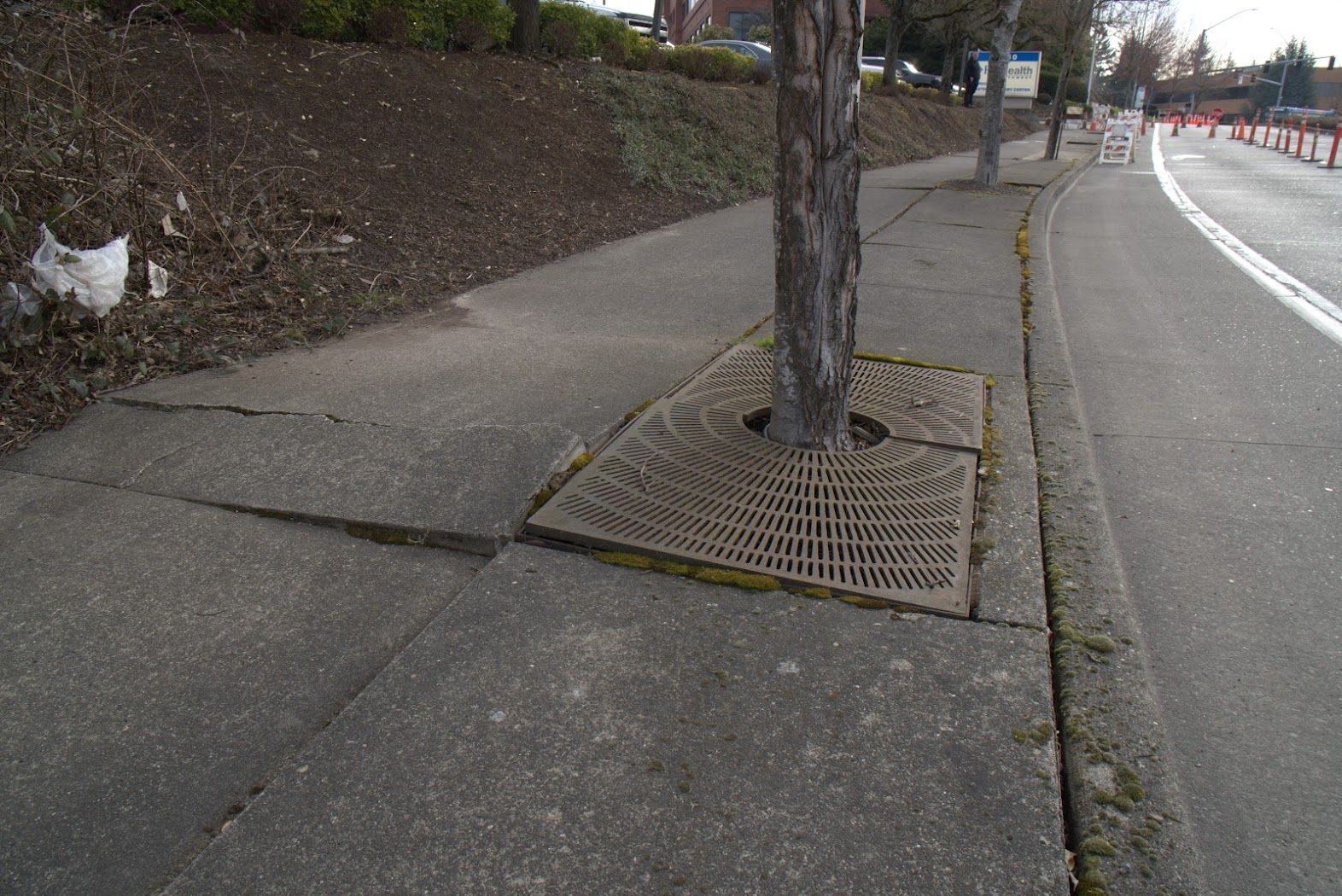 A sidewalk with a tree in the middle of it
