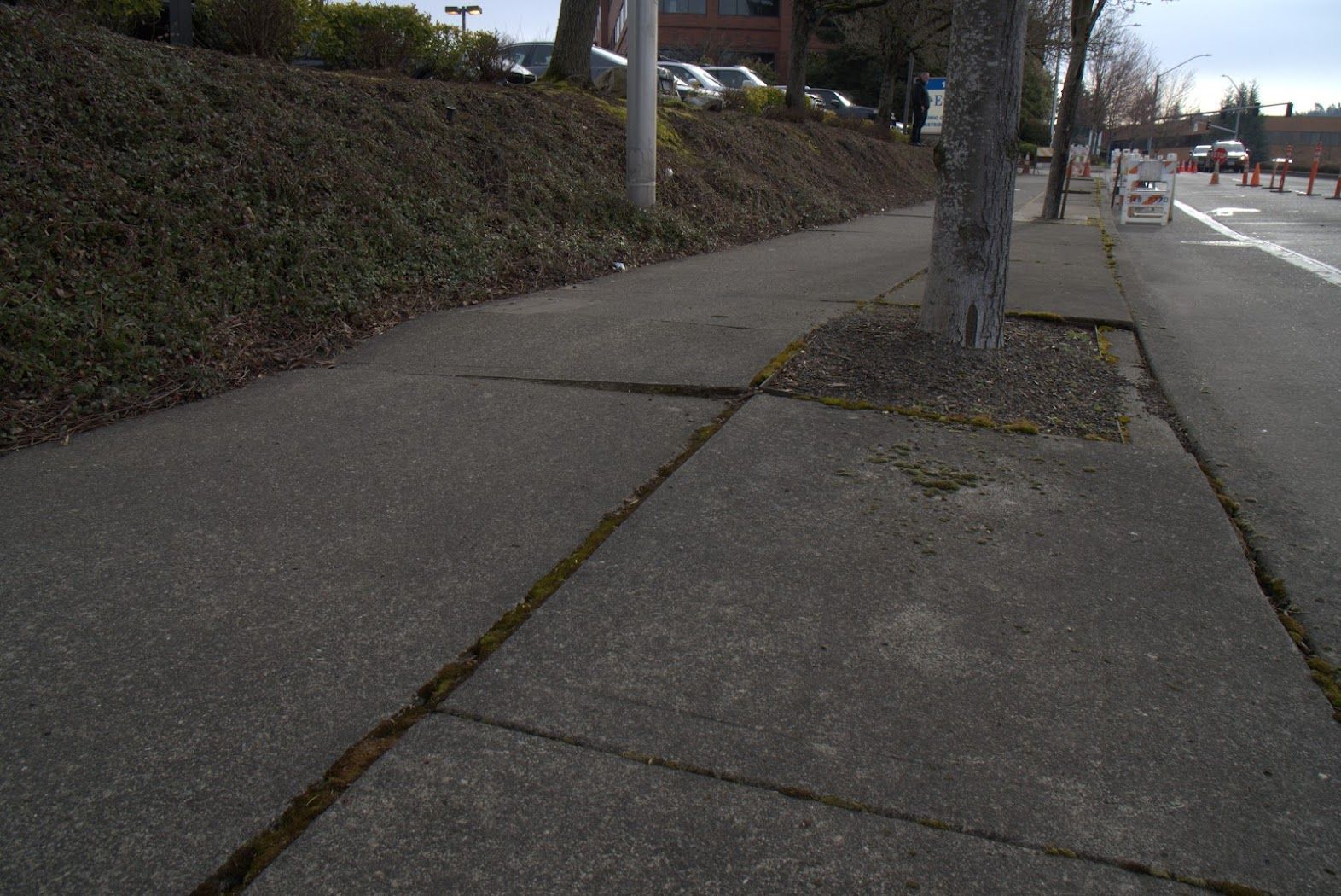 A sidewalk with a tree in the middle of it.