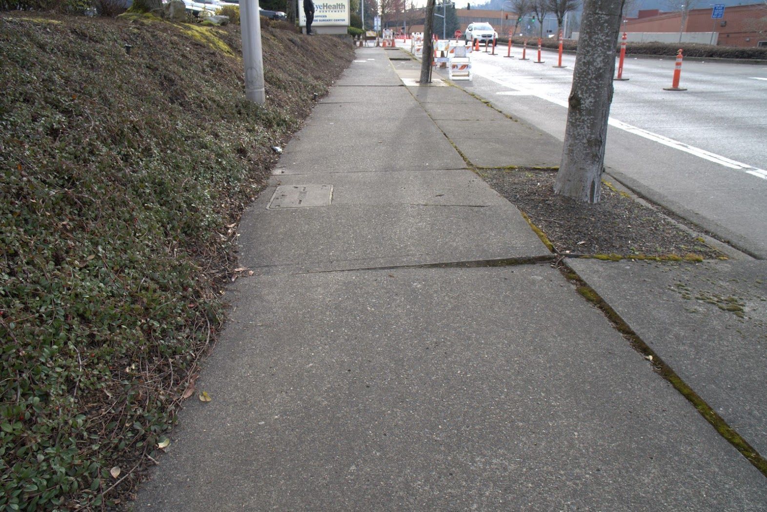 A sidewalk with a tree in the middle of it