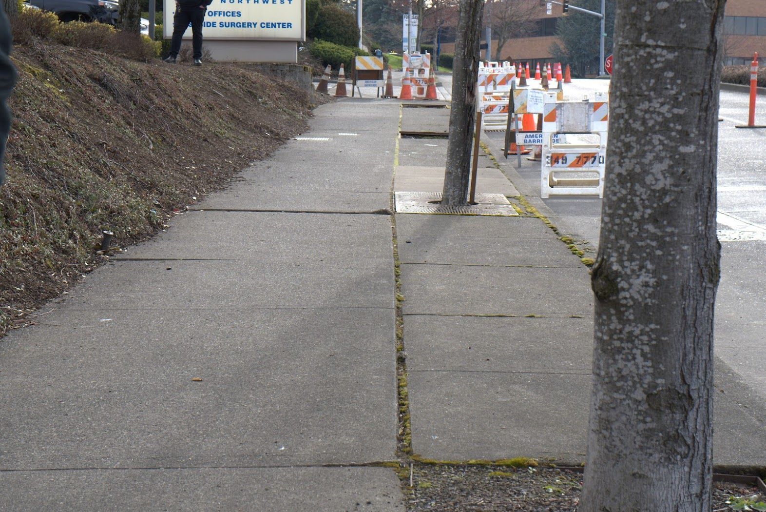A person walking down a sidewalk next to a tree