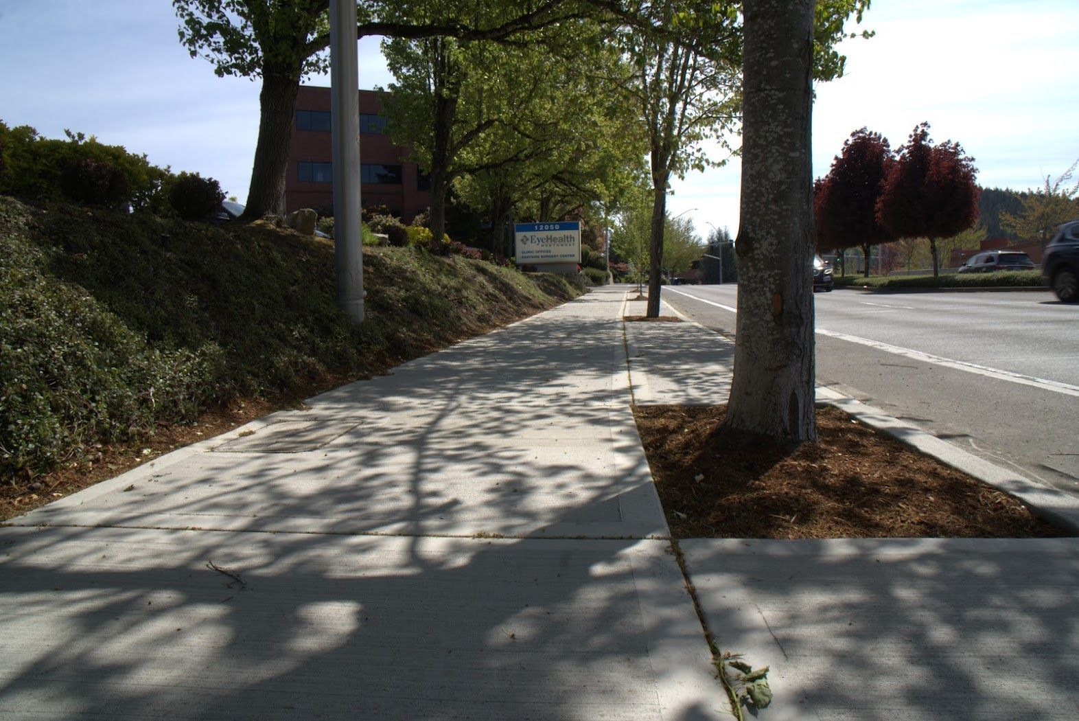 A sidewalk with a tree in the middle of it
