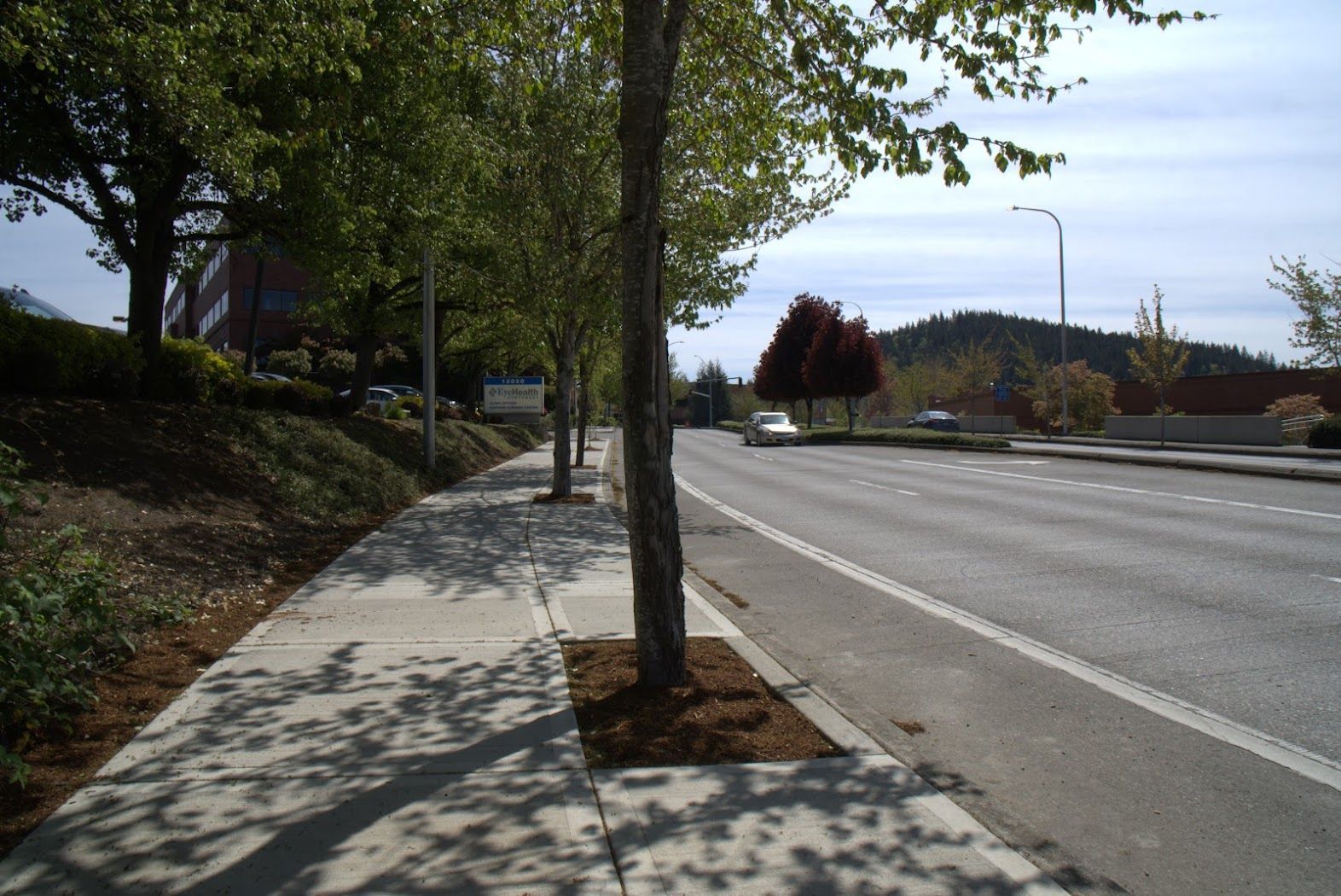A sidewalk along a road with trees on both sides