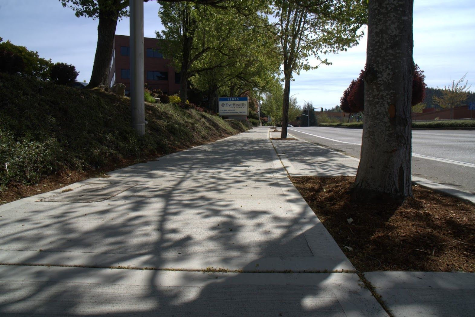 A shadow of a tree is cast on a sidewalk