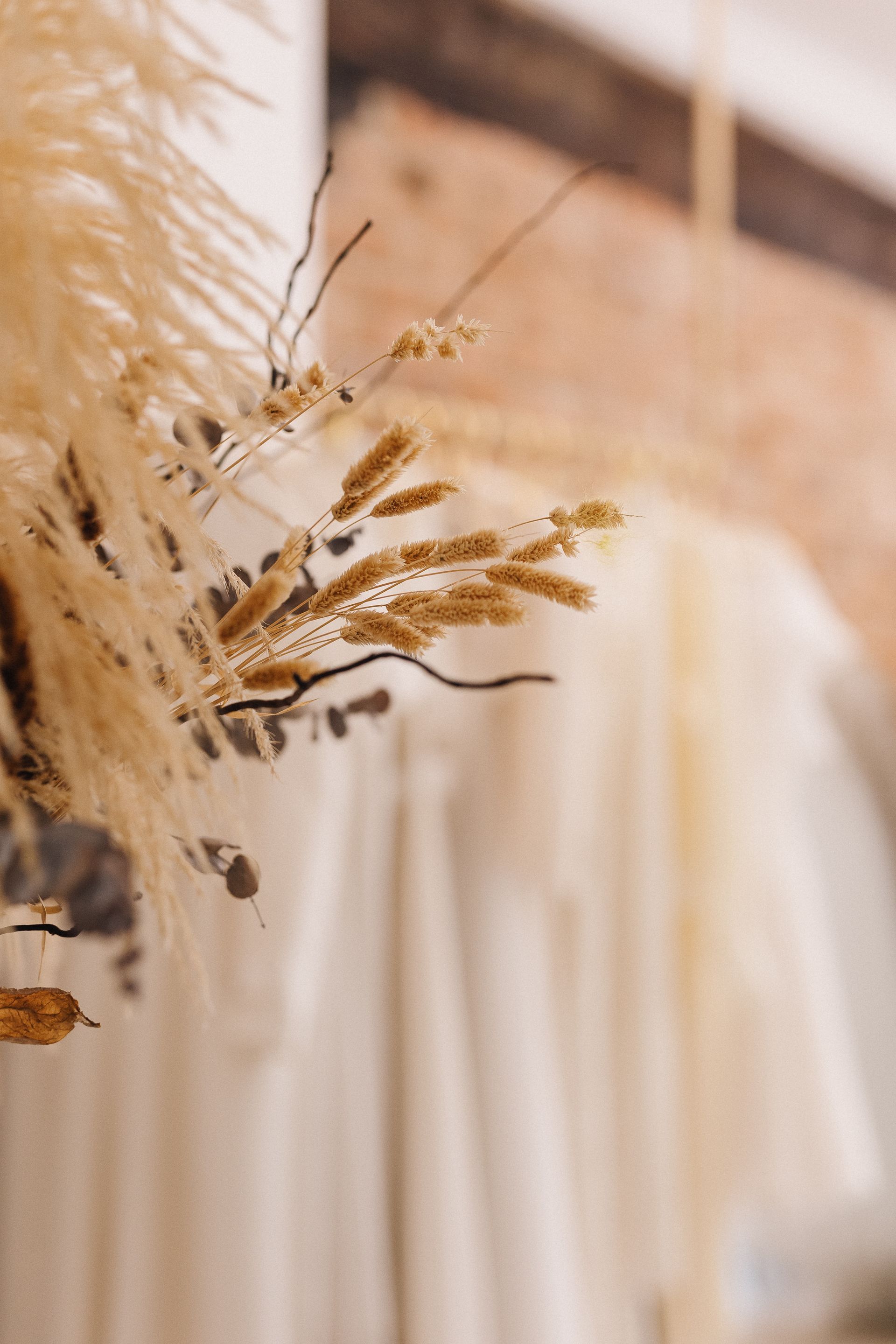 Primo piano di una pianta appesa a un attaccapanni.