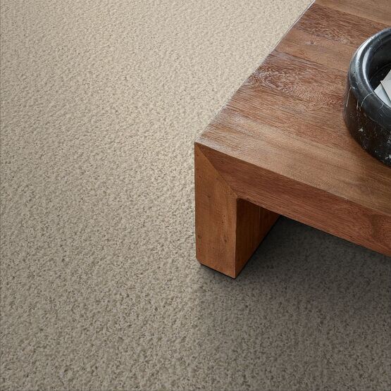 Beige carpet next to a wooden coffee table with a dark bowl.