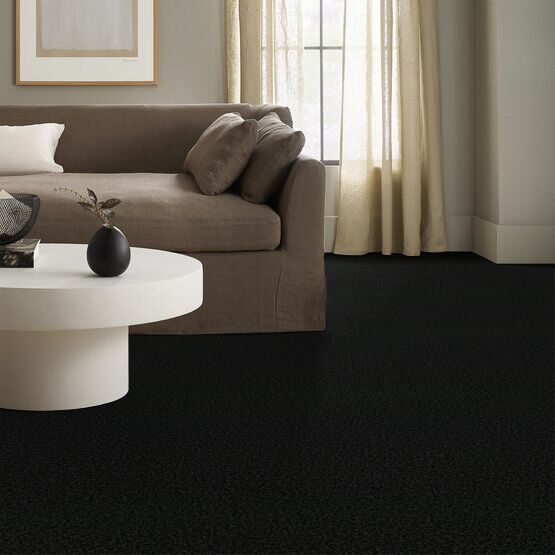 Living room with dark carpet, brown sofa, white coffee table, and window with curtains.