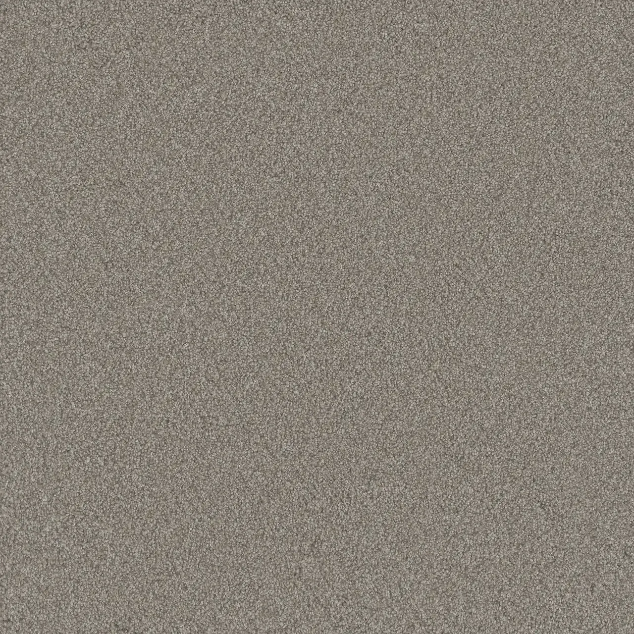 Close-up of a textured, neutral-toned carpet.