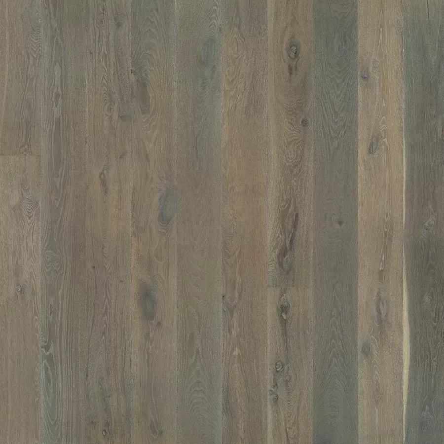Close-up of a weathered, light gray hardwood floor with visible wood grain and knots.