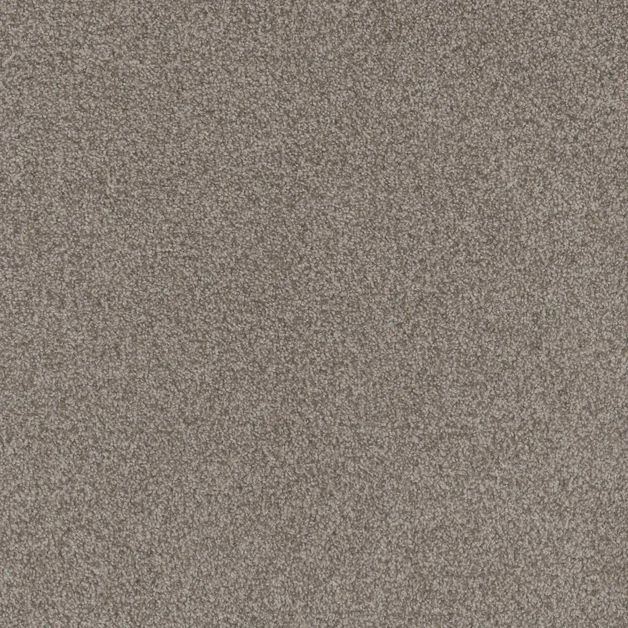 Brown textured carpet.