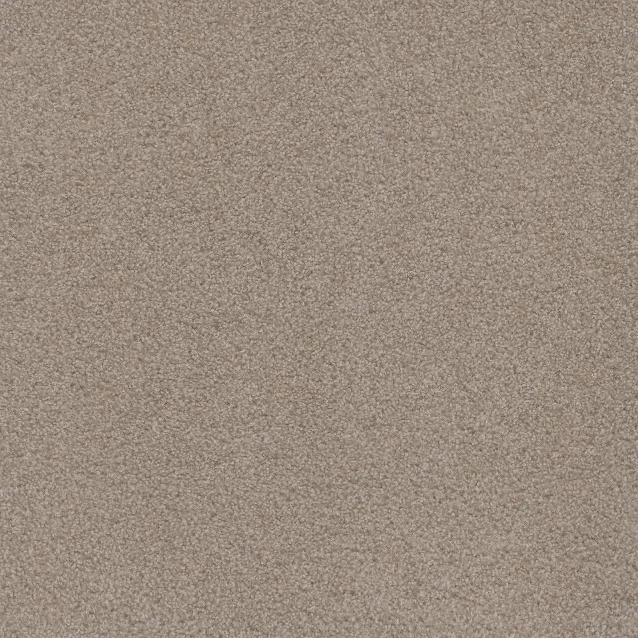 Beige-colored textured carpet, with small, light flecks.