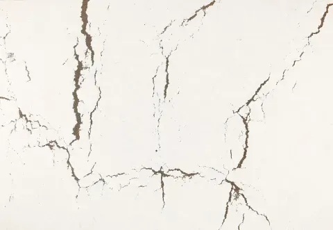 White surface with brown, jagged cracks.