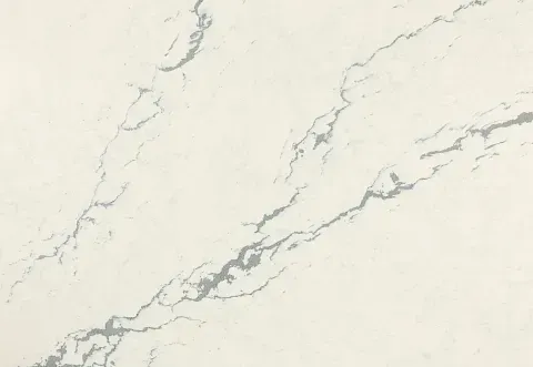 White quartz countertop with gray veining.
