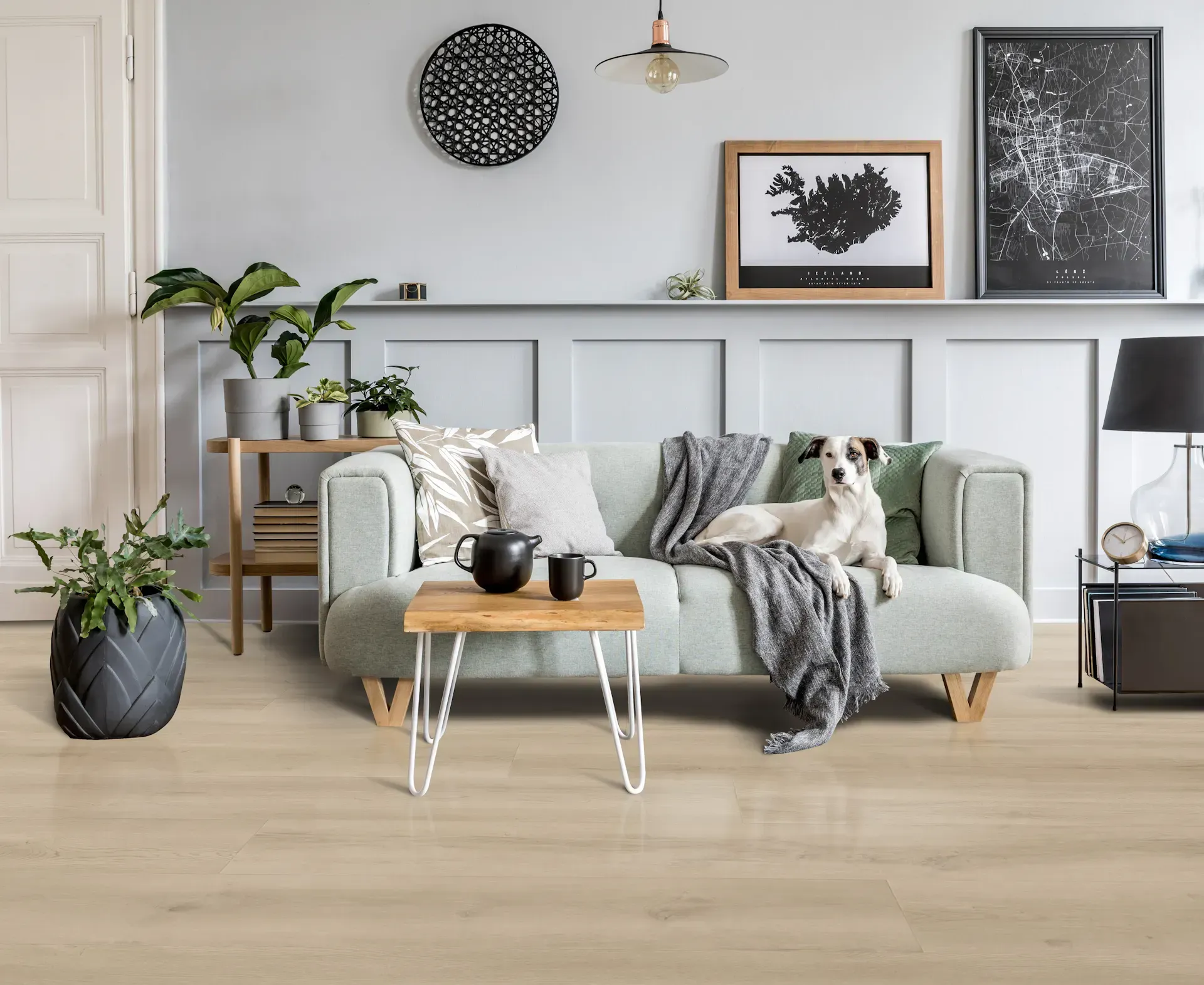 Living room with light wood floors, sage green sofa, dog, coffee table, and plants.