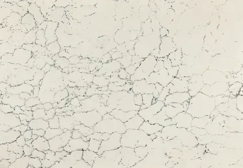 White marble countertop with gray veining.