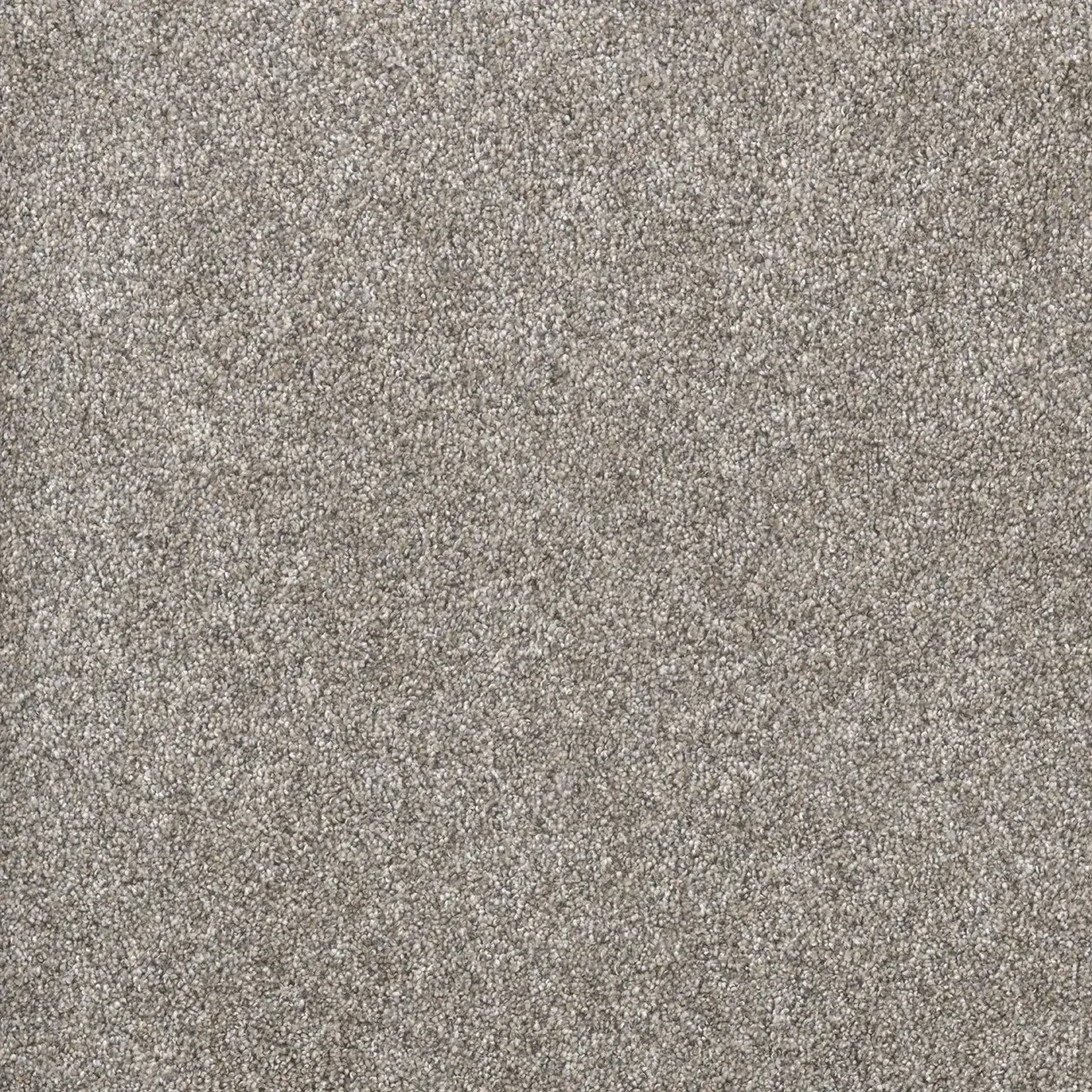 Close-up of a speckled, gray carpet with a textured surface.