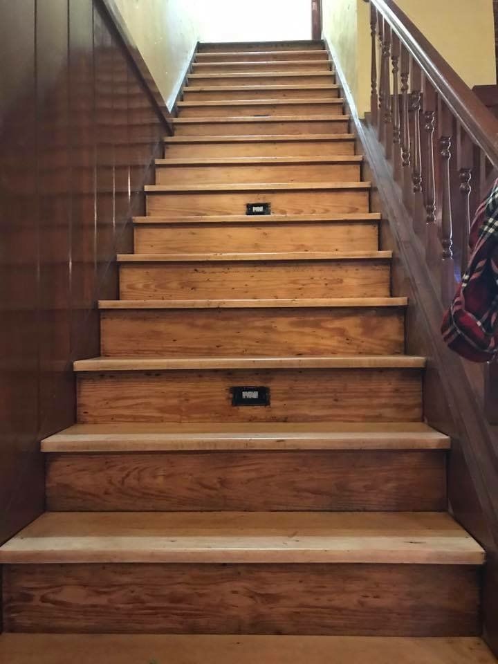 Wooden staircase with built-in lights leading upwards.