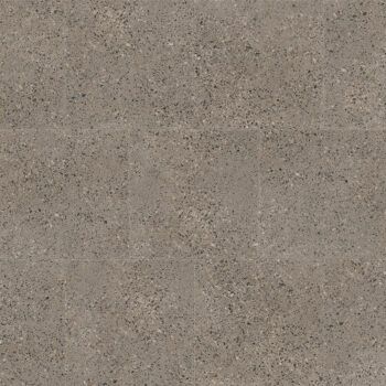 Gray, speckled concrete surface.