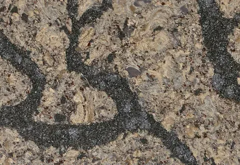 Tan speckled stone with dark, wavy veining.