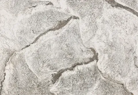 Textured white and gray stone surface with irregular patterns and cracks.