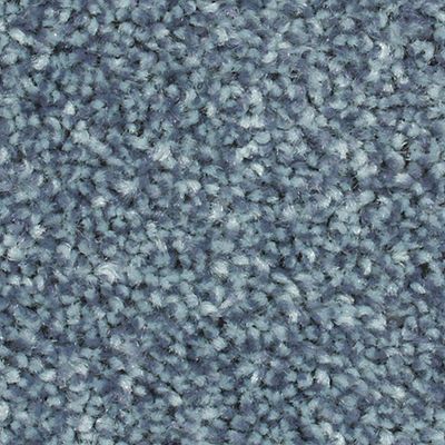 Blue and gray speckled carpet texture.