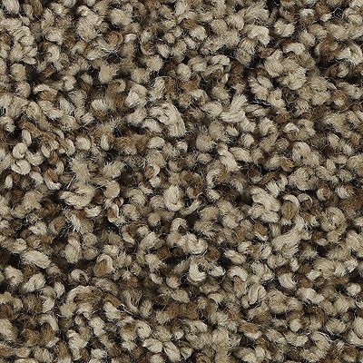Close-up of a brown and beige textured carpet with a looped pile.