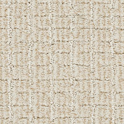 Beige and tan patterned carpet.